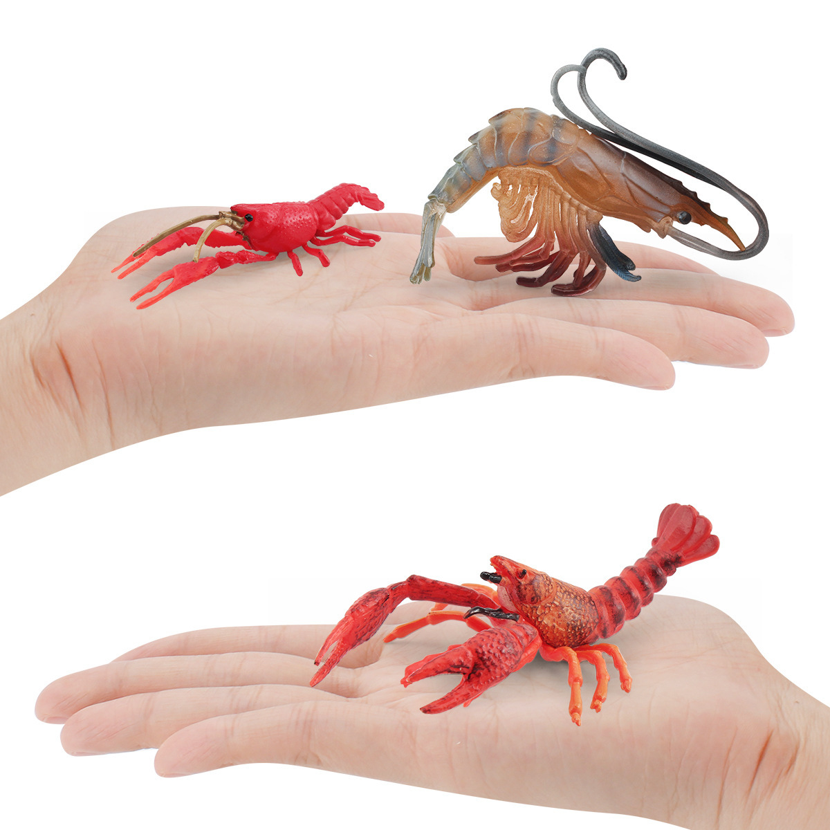 Simulación transfronteriza animal marino camarón de agua dulce modelo cangrejo de Río Rojo cangrejo de río camarón de cristal camarón de brazo largo adornos estáticos