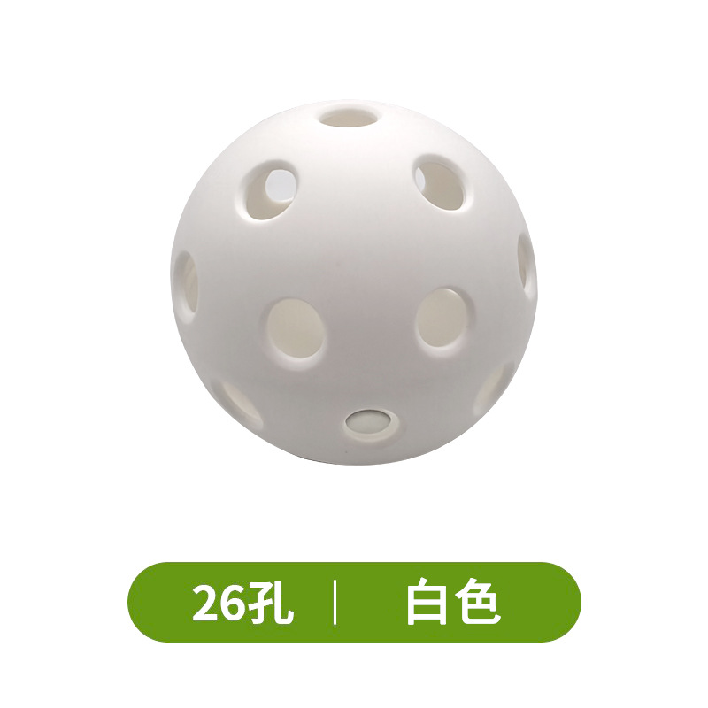 피클볼 화이트 26홀(실내)