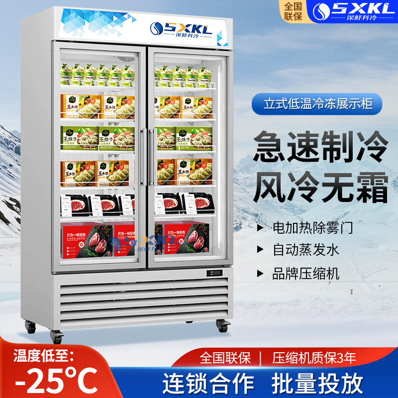 商用低温冷冻零下-25冰淇淋展示柜立式灯箱急冻大容量双门灯箱冷