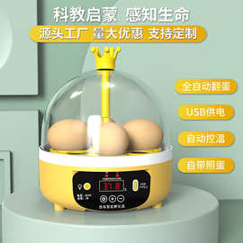 小鸡孵蛋器全自动孵化器小型家用型迷你儿童孵化机外贸智能孵化箱