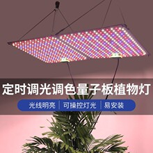 羳ledӰֲȫV{ⶨraɫ grow light