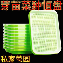 加密加厚小号育苗盘盆芽苗菜水培网格豌豆苗豆芽种植盘阳台小菜园