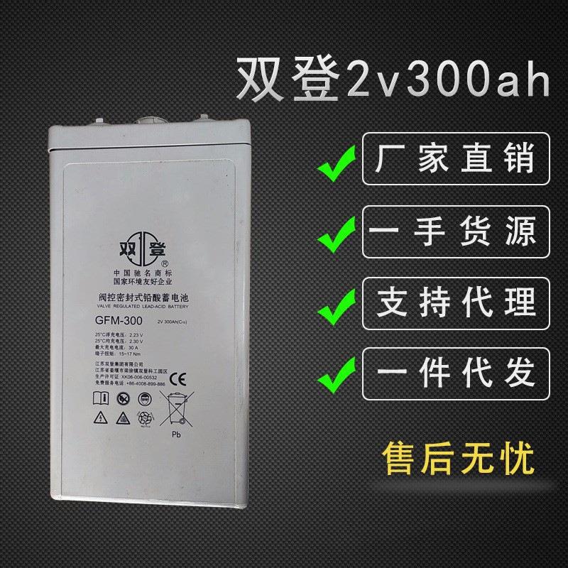 双登蓄电池GFM-200/2V200AH通讯 基站/船舶/电力/电信UPS电源专用