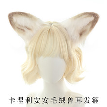 �����F�������������^���Ԫ���������cos�F���l����չ����