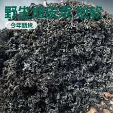 Ұ����Ʒ��Ƥ�˵�ܛ�ؽǵ���ľ���׹�����ϴ���|��؛�GɫʳƷ