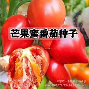 ����â���۷��ѷN�Ӵ��＾��ˮ���߲������Թ�ζɳȿ�����t���N��