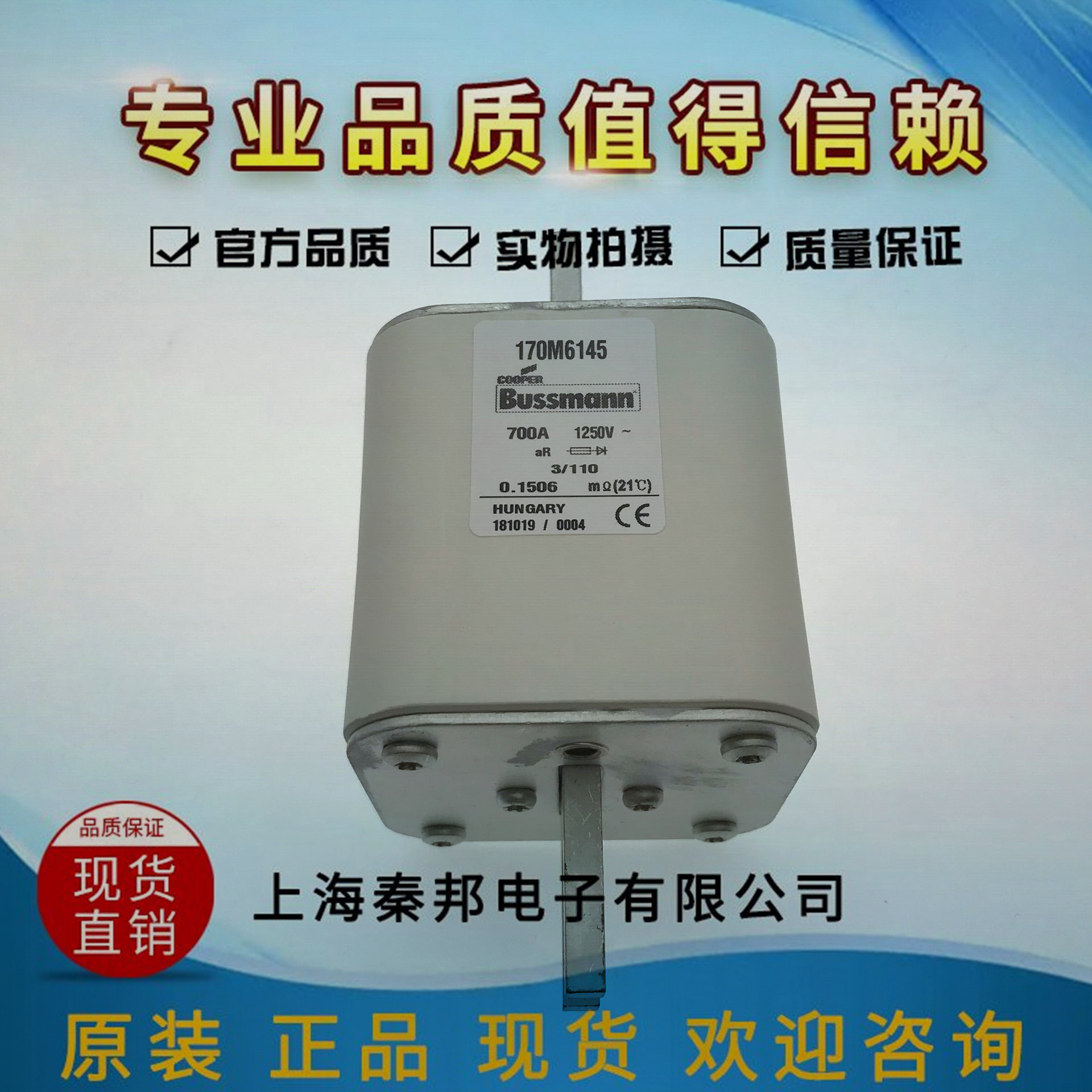 销售巴斯曼170M5813熔断器