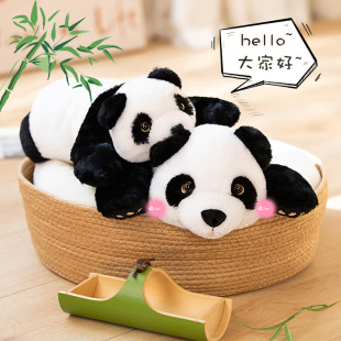 �羳�ɐ�ſ��������؈����������؈ë�q��߃�ͯ������������ż