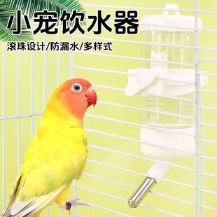 Automatic Water Dispenser and Feeder for Pet Birds, Parrots, Starlings, and Thrushes, Hanging Water Cup for Drinking
