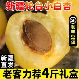 �����½�̨݆�hС��������S���\ֱ�l���rˮ���𑪮����خa�Fժ��