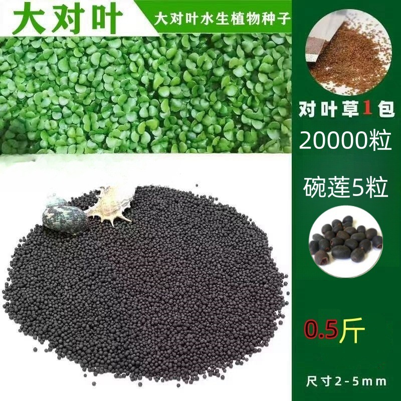 물풀머드 0.25kg - 큰잎 20,000개 + 그릇연꽃 5개 무료