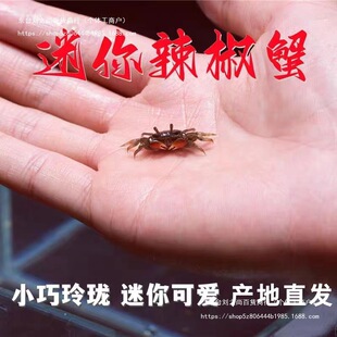 ��������з����С�з�^�pз���l����з����з��ˮз����з��*