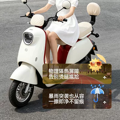 Electric car cushion — seat cover