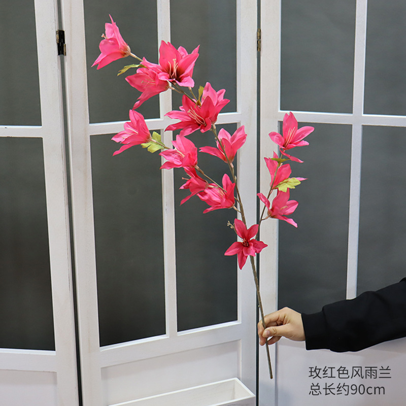 Rosa roja viento y lluvia azul