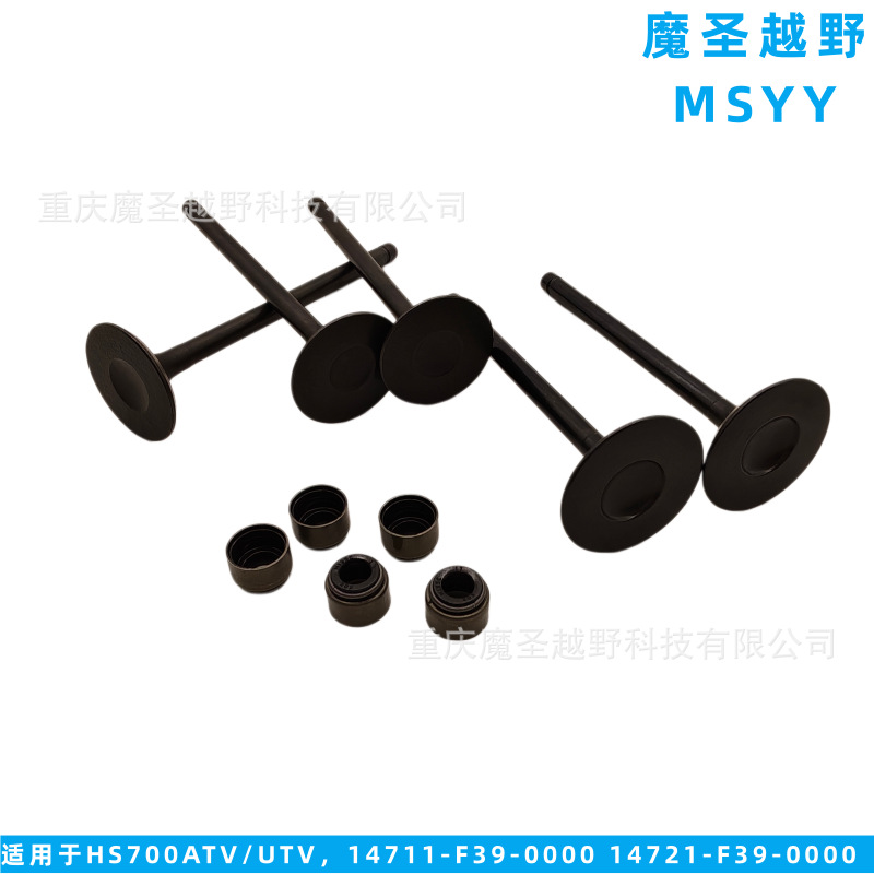 Cross-Border Applicable for Huansong Hs700Atv/Utv Engine Valves, 14711-F39-0000 14721-