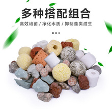 ~^VȫҸʮһմɭhݻ̿ˮˮVl