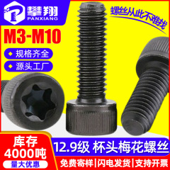 12.9級高強度円柱頭梅のネジの頭の中の梅のネジの六角梅の頭のボルトm 4m 6