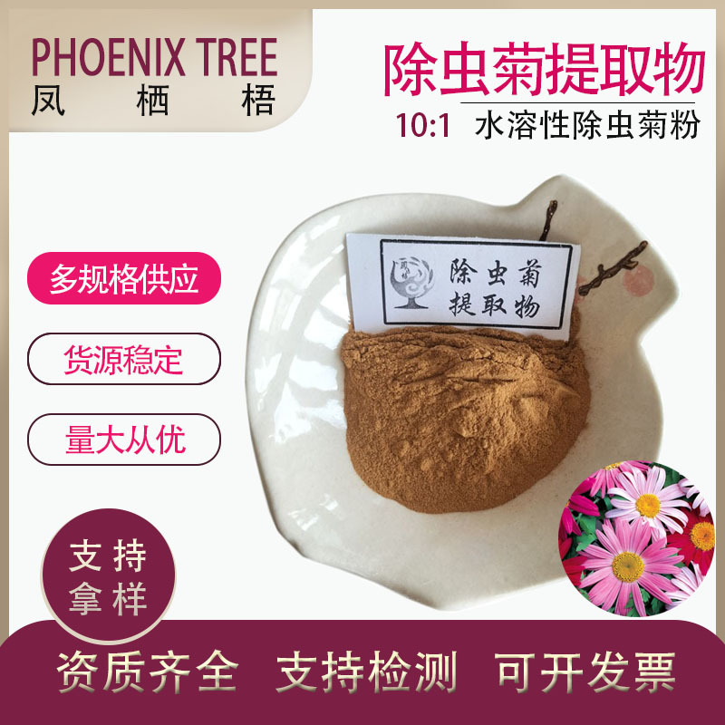 厂家食品级现货喷雾干燥除虫菊粉水溶性除虫菊粉10:1除虫菊提取物