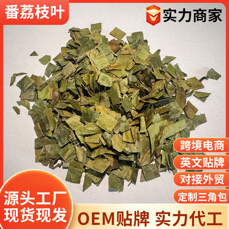 Soursop leaf health tea for foreign trade, triangle tea bag for brewing soursop tea Soursop leaf health tea for foreign trade, triangle tea bag for brewing soursop tea