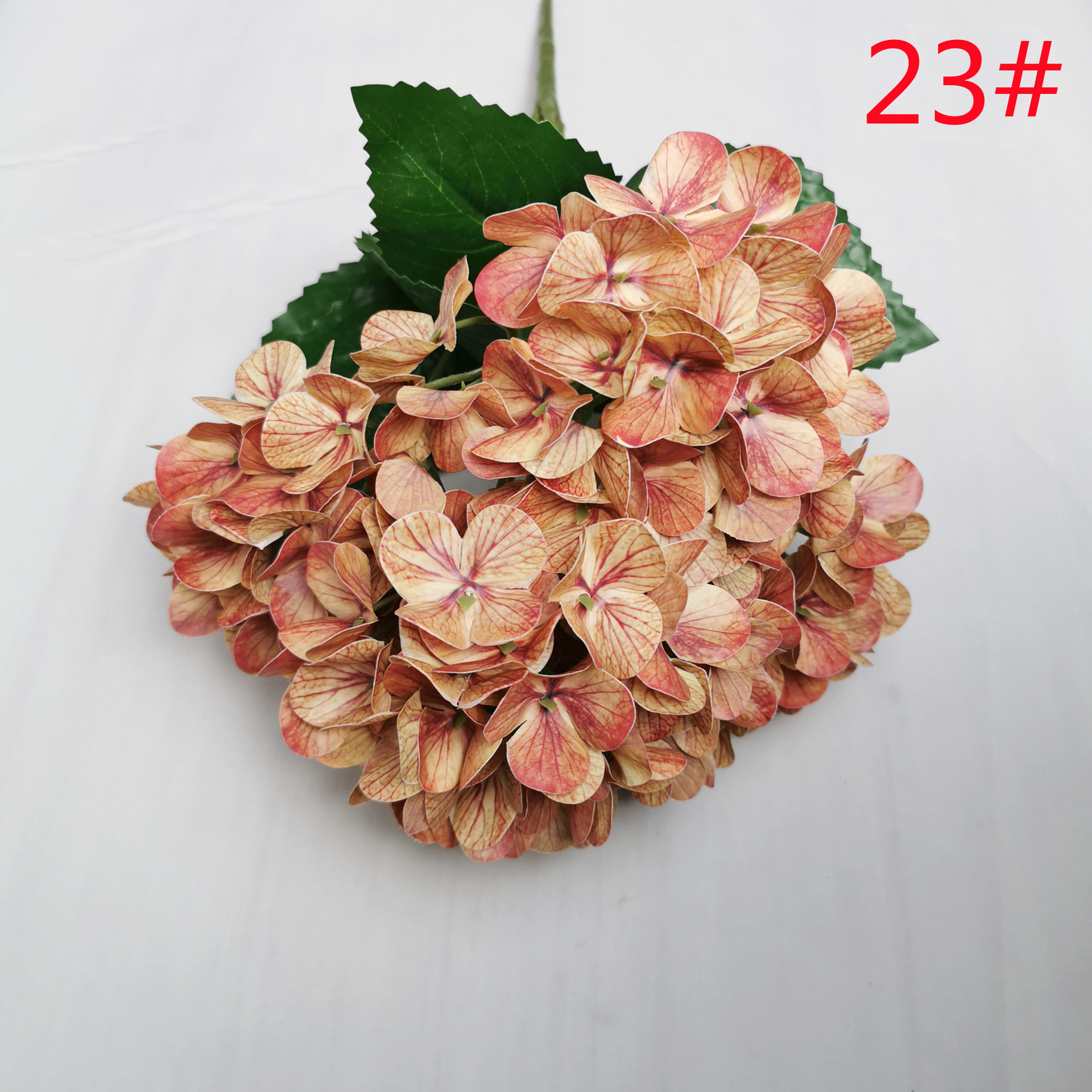 23#