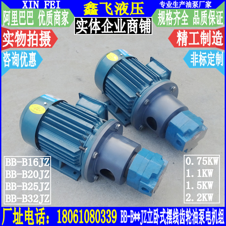 BB-B16JZ BB-B20JZ BB-B25JZ B32JZ立卧式摆线齿轮油泵电机组