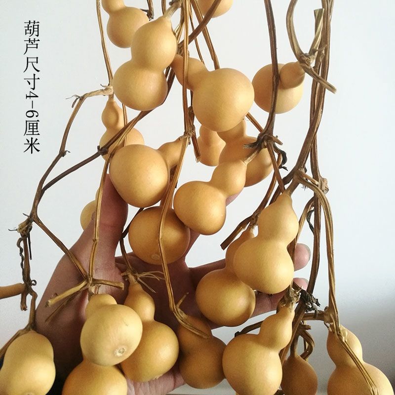 连藤小葫芦手捻手把件小葫芦连枝带龙头家居装饰挂件
