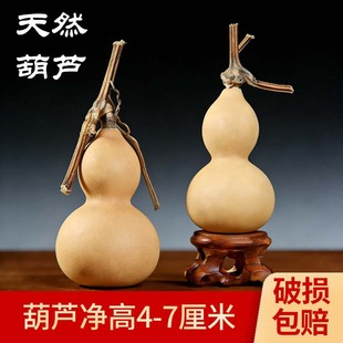 ��Ȼ���J����������С���J��ɫ���f��Ƥɫ�����^���{���J�������