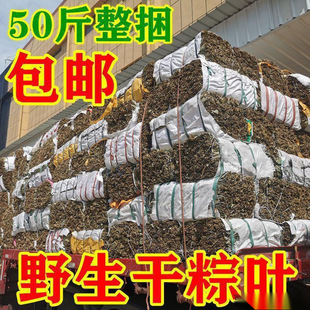 Manufacturer of Wild Dried Zongzi Leaves, Zongzi Leaves, Dragon Boat Festival Zongzi Leaves, Wholesale Kilograms, Commercial Dragon Boat Festival Wild Large Size