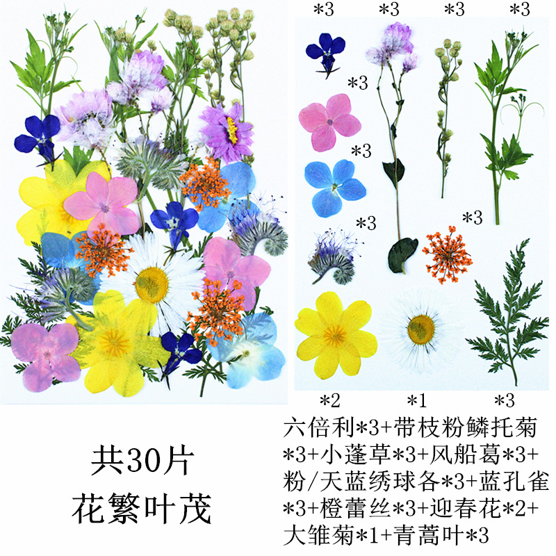 꽃과 잎이 무성하다