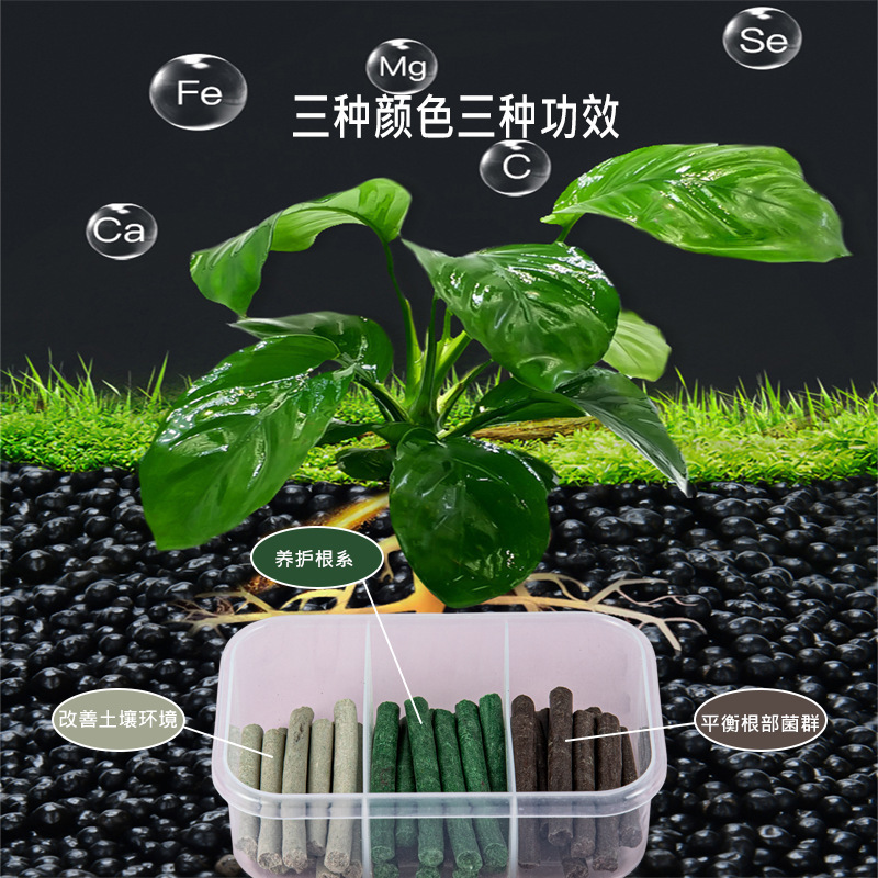 三色植物营养棒缓释棒盆栽花卉多肉通用型缓释营养棒养花肥急救棒|undefined