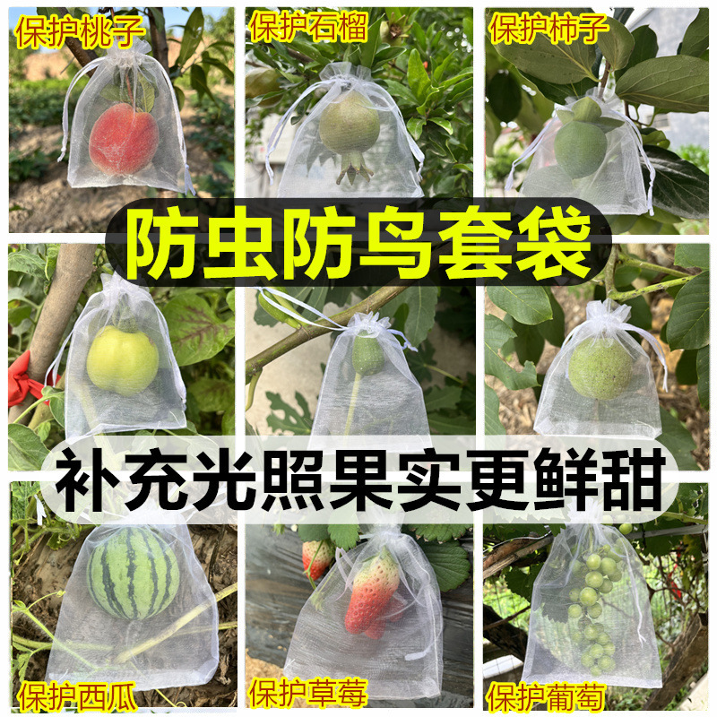 果樹袋防虫防鳥袋いちごいちじくザクロブドウトマト保護果実専用糸ネットカバー|undefined