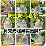 批发水果套袋束口育种草莓桃子专用套袋园艺果园防鸟尼龙防虫网袋