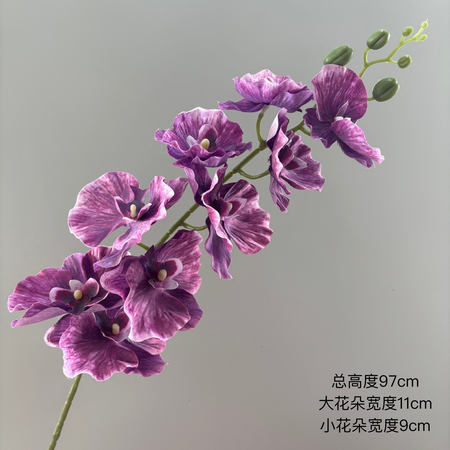보라