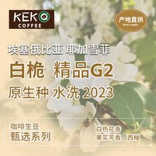 2023产季 埃塞俄比亚进口 咖啡生豆 水洗耶加雪菲G2·白桅 包邮