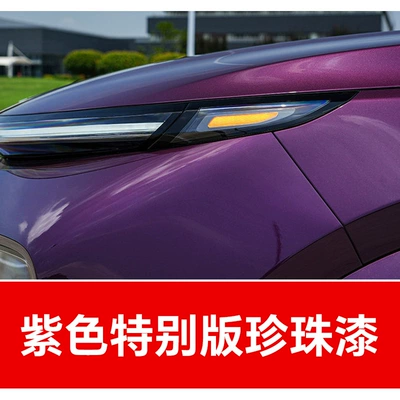 Avtomobil boya qələmləri: Special Color Waterproof, Rust-Proof and - take-one-shot-and-two-color-paint-1-and-brightening-polish-1-and-then-send-a-tool-kit-sandpaper-cleaning-cotton-pen-tip-purple-special-edition-pearl-paint