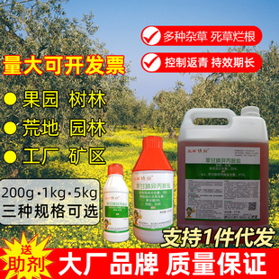 41%�ݸ��׳��ݠ���������@�֜�݄��ĵزݸ�좚��݄��rș���݄�