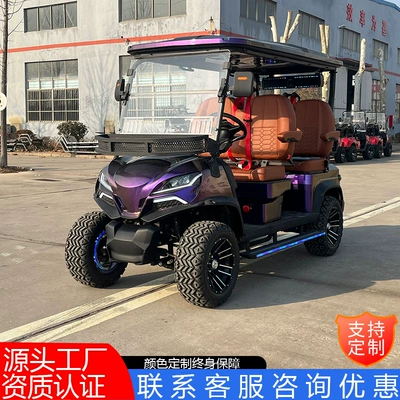 Electric Golf Carts, Hotel and Factory Campus Reception Vehicles, Tourist Vehicles, Scenic Area Patrol Vehicles, Golf Carts with Canopy