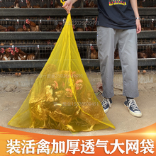 �b���ݵľW���W��С�W�����ϰ��b���b���u�������Ͼ����� �W����