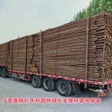 �ֈ�����ɼľ�U�@�־G��֧�ΗU�߉������o늾��U¶�I��ܳߴ��