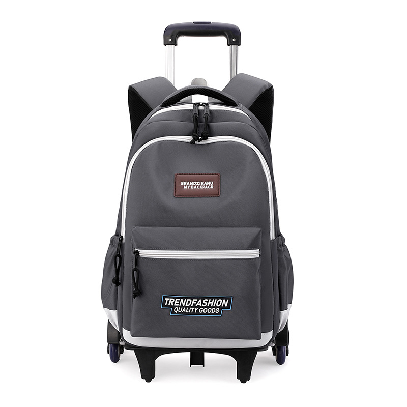 Nuevo pescado natural bolsas escolares ligeras, bolsas escolares de gran capacidad para niños de escuela primaria, bolsas escolares de 3 - 6 grados