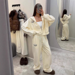 欧美跨境外贸卫衣套装女2025秋新款刺绣宽松显瘦拉链开衫阔腿长裤