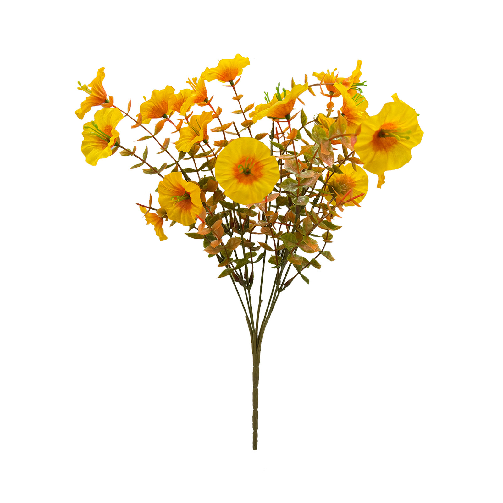 가을 노란색 7 머리 나팔꽃