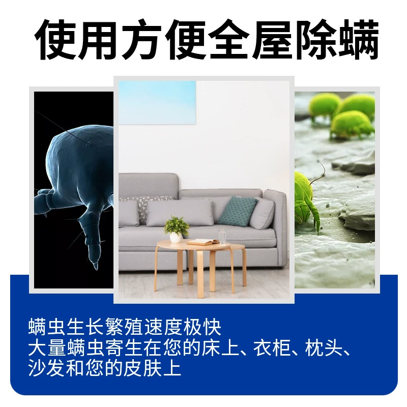 Yunnan Materia Medica Herbal Mite Mittics Babes Family Infant Federation Mites Ferry Botanical Plant Vehicle Home Furniture Treasure Treasure