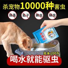 宠物杀跳蚤药狗去跳蚤除虱子狗狗猫咪体内外驱虫药