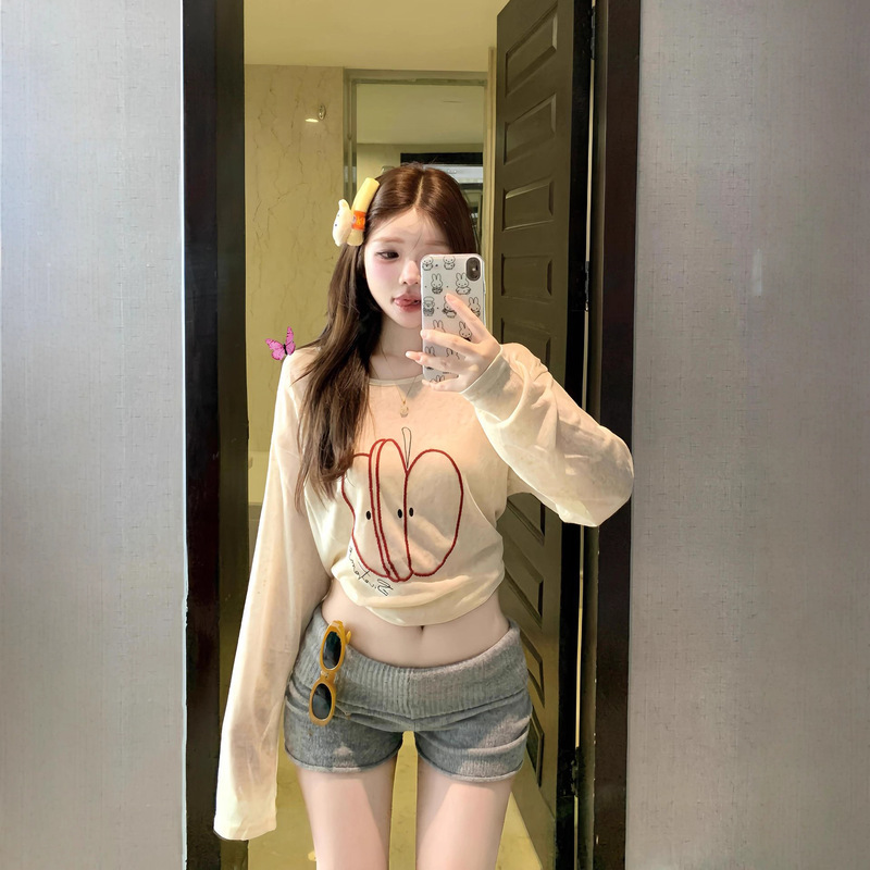 [Factory Ready Stock] American Retro Blouse Apple Embroidered Long-Sleeved T-Shirt Women's Loose Sun Protection Lazy Style Top