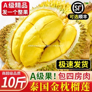 ̩��������ɏ���rˮ��10�ﮔ���M������������ɏ��һ������S���]