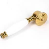 Golden microphone