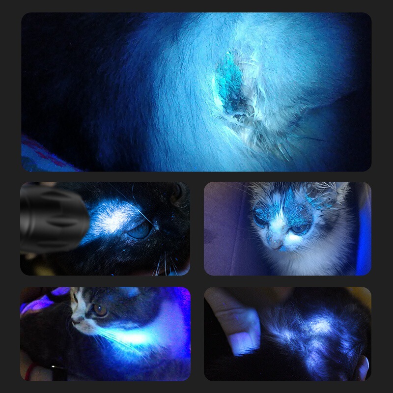 迷你随身紫光手电筒鉴定检测猫藓灯铝合金便携式检测手电筒|undefined