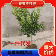 ɰ�����Ә���޽ӽ��������Ե��Ը��ٟo�����٘��箔��Y��������