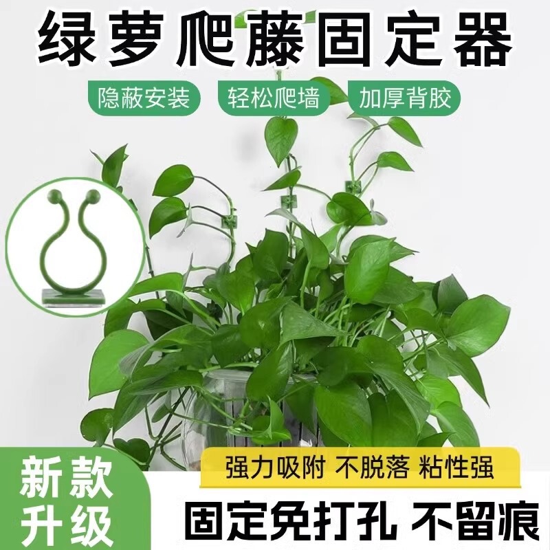Green Plant Climbing Wall Holder Holder Hanger Bracket Buckle Buckle Hook Hook Hanging Green Plant Climbing Wall Holder Holder Hanger Bracket Buckle Buckle Hook Hook Hanging
